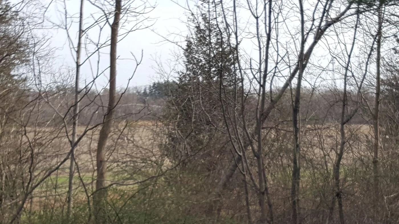 Photo 3 of 5 Greenleaf Woods Dr Unit 101, Portsmouth, NH 03801