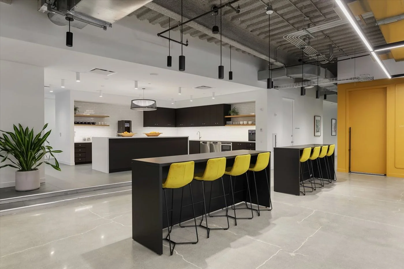 Photo 1 of 115 Myrtle Ave Fl 8, Brooklyn, NY 11201