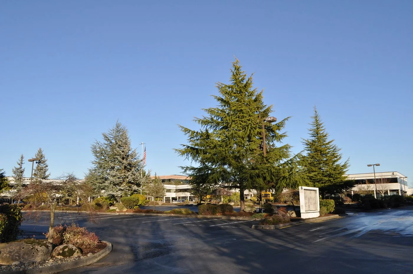 Photo 3 of 19217 36th Ave W, Lynnwood, WA 98036