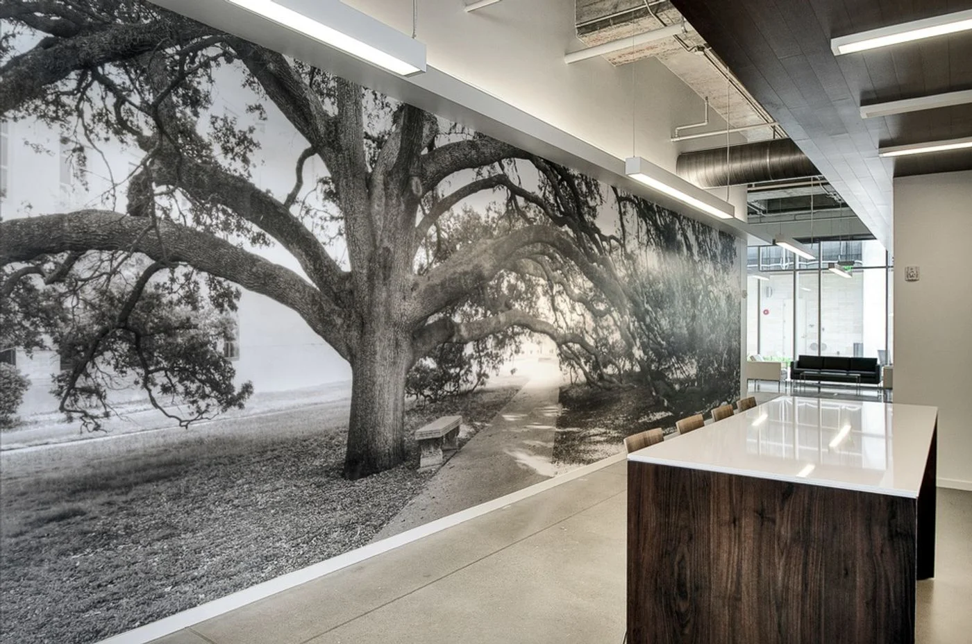 Photo-3 of 170 Century Ct, College Station, TX 77840