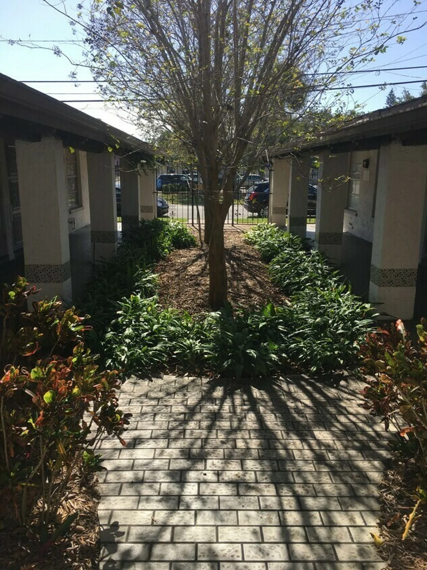 Photo 3 of 1250 Rogers St, Clearwater, FL 33756