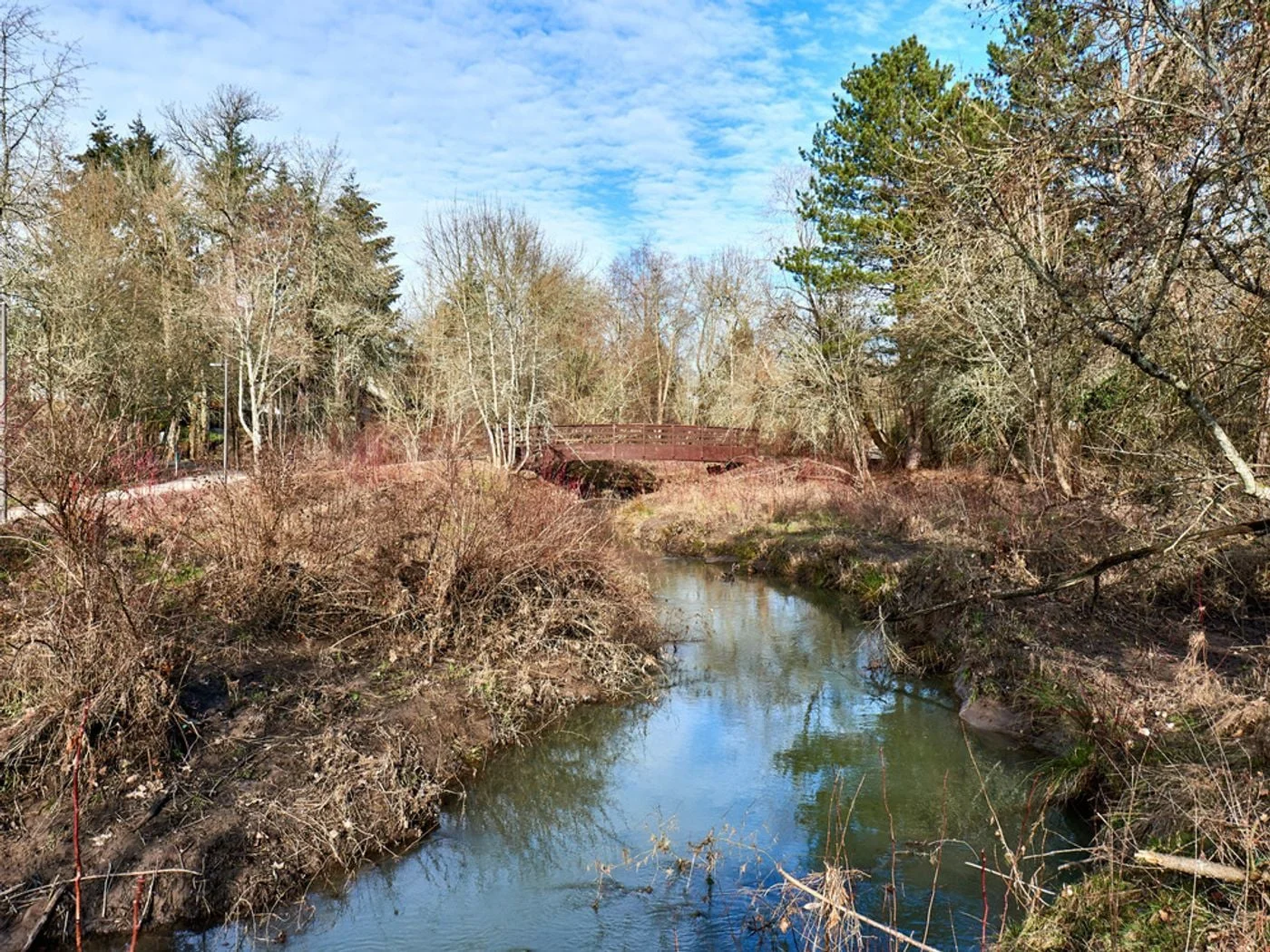 Photo 3 of 8196 SW Hall Blvd, Portland, OR 97233