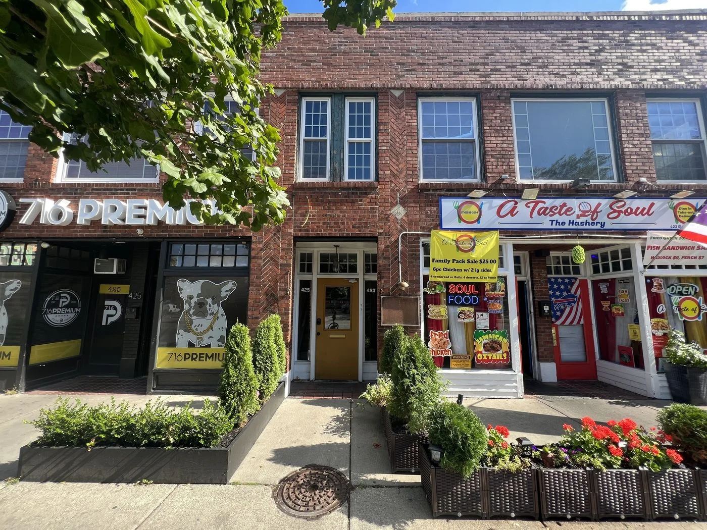 Photo 1 of 423 Elmwood Ave, Buffalo, NY 14222