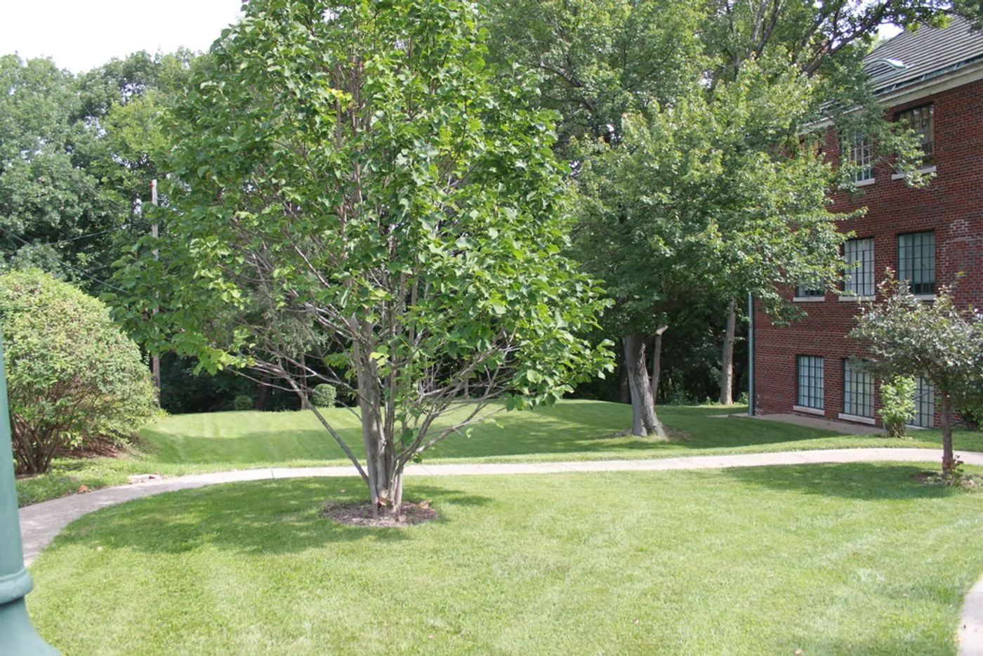 Photo-3 of 2619 W Heading Ave, West Peoria, IL 61604