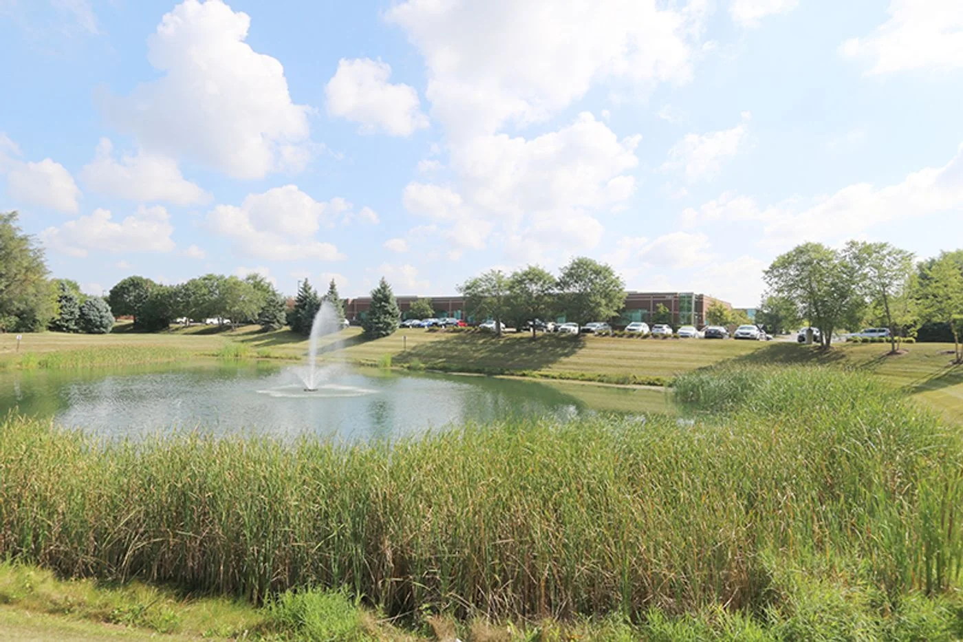 Photo 3 of 7125 Janes Ave, Woodridge, IL 60517