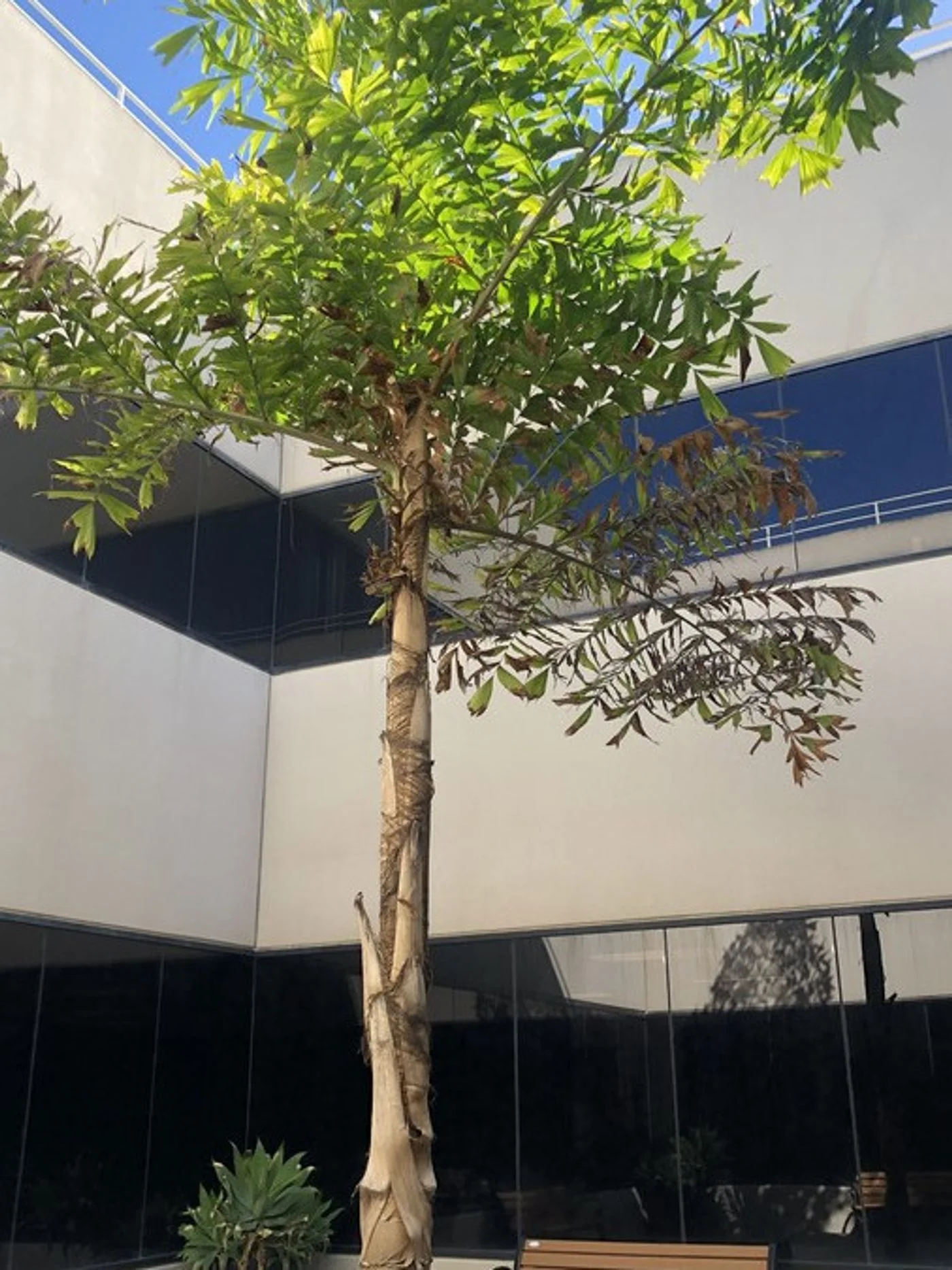 Photo 2 of 4010 Watson Plaza Dr, Lakewood, CA 90712