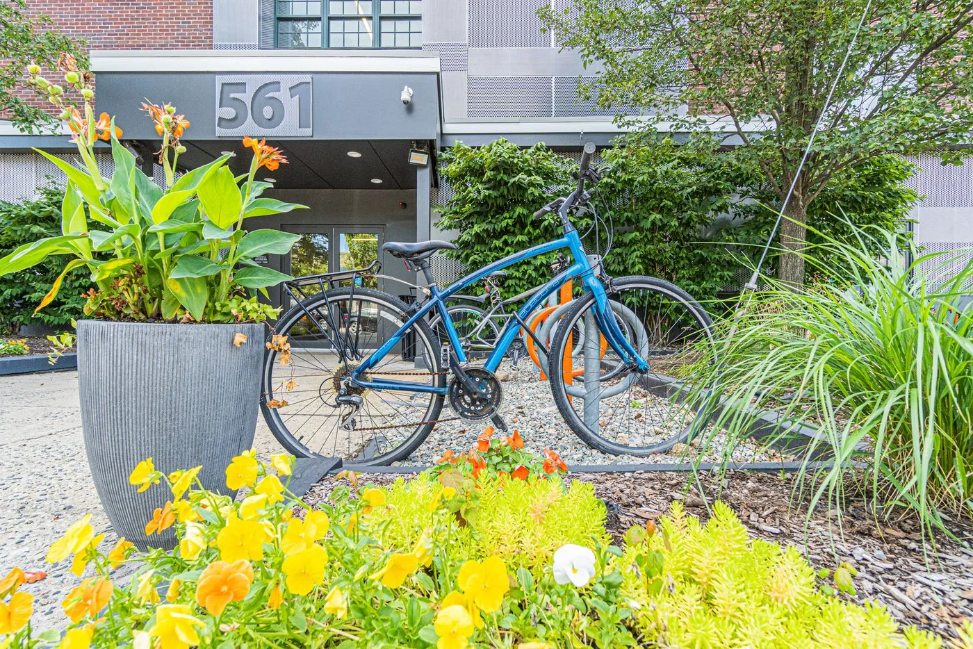 Photo-2 of 561 Windsor St, Somerville, MA 02143