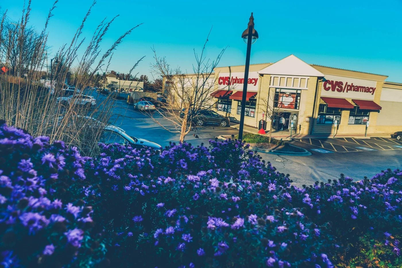 Photo 1 of 4186-4198 Rt 83, Long Grove, IL 60047