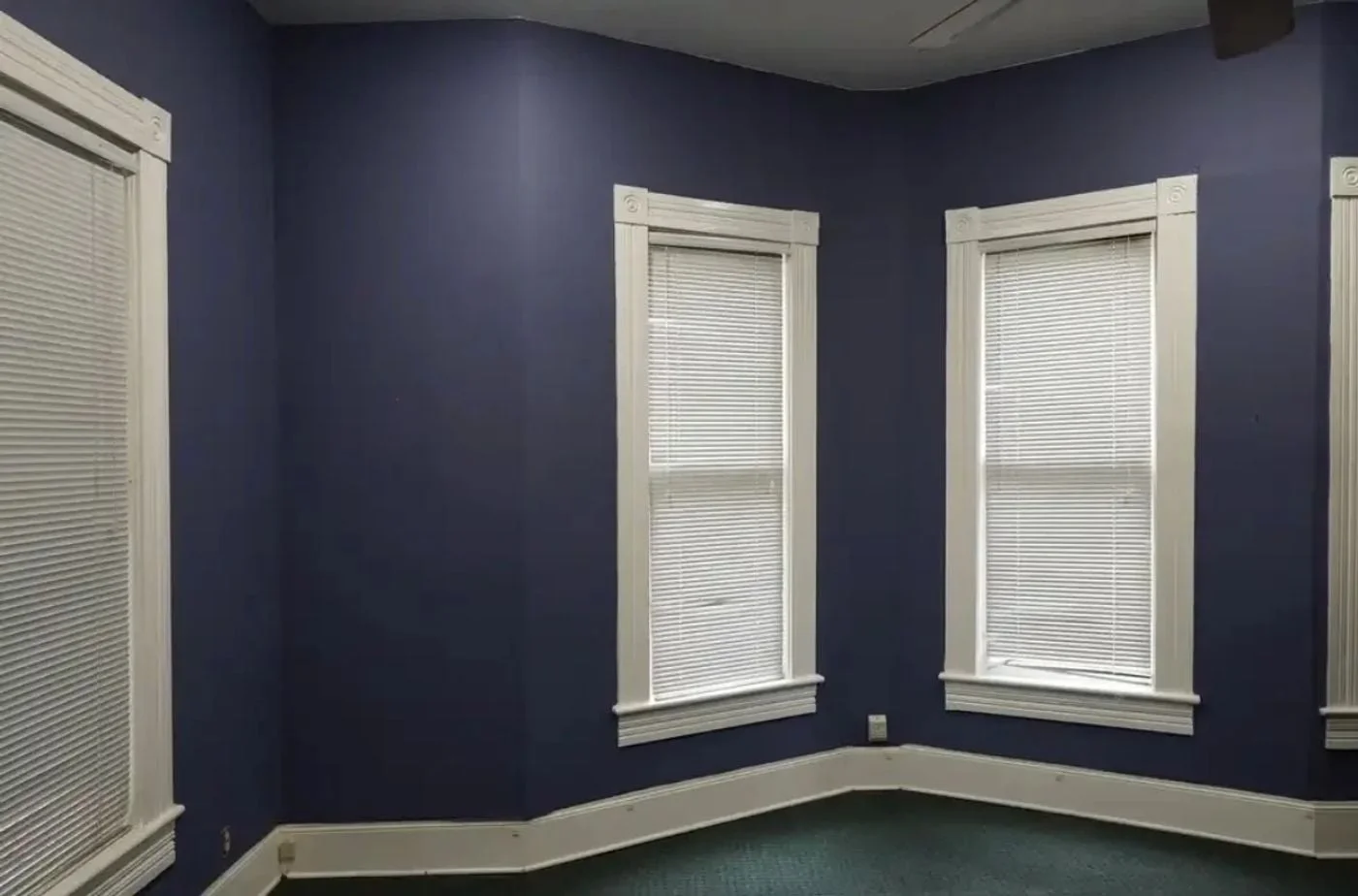 Photo 3 of 333 S Plant Ave, Tampa, FL 33606