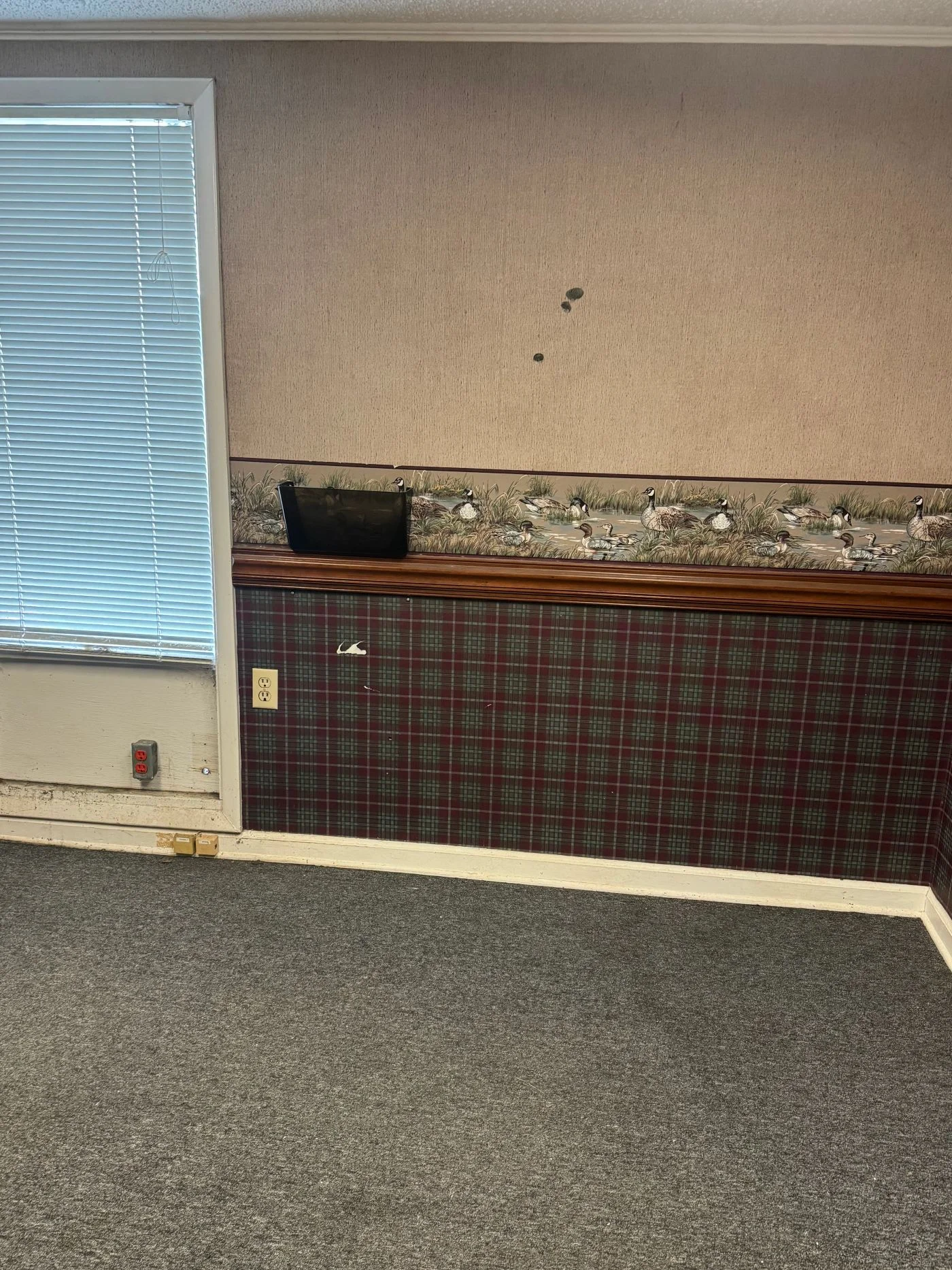 Photo 3 of 1100 3rd Ave S, Myrtle Beach, SC 29577