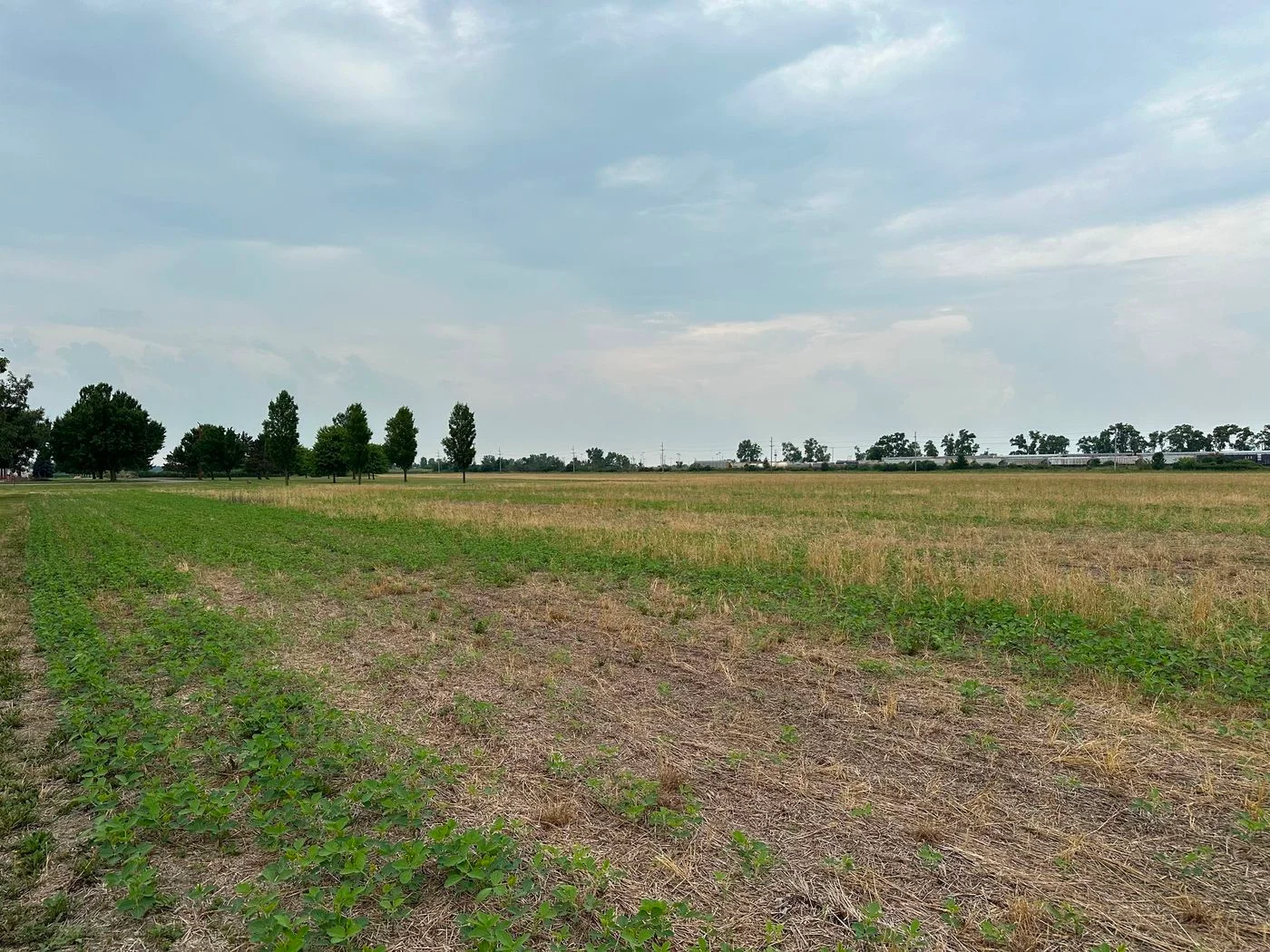 Photo-3 of 27681 Cummings Road, Millbury, OH 43447