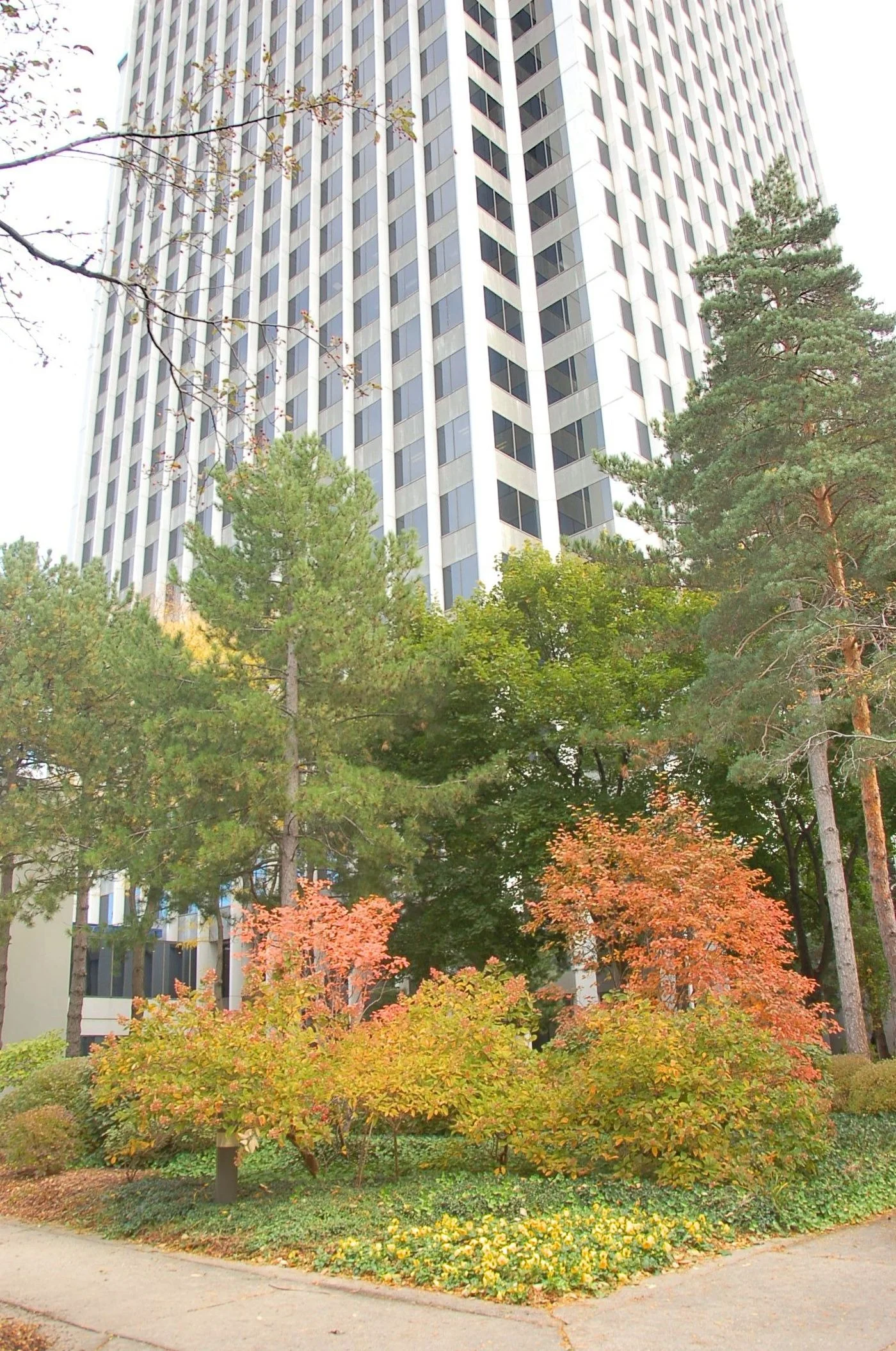 Photo 2 of 755 West Big Beaver Road Suite 2020, Troy, MI 48084