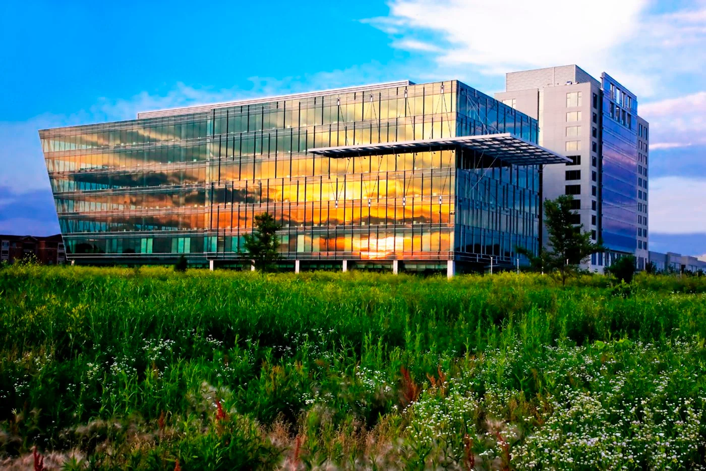 Photo 3 of 2135 CityGate Lane Suite 300, Naperville, IL 60563