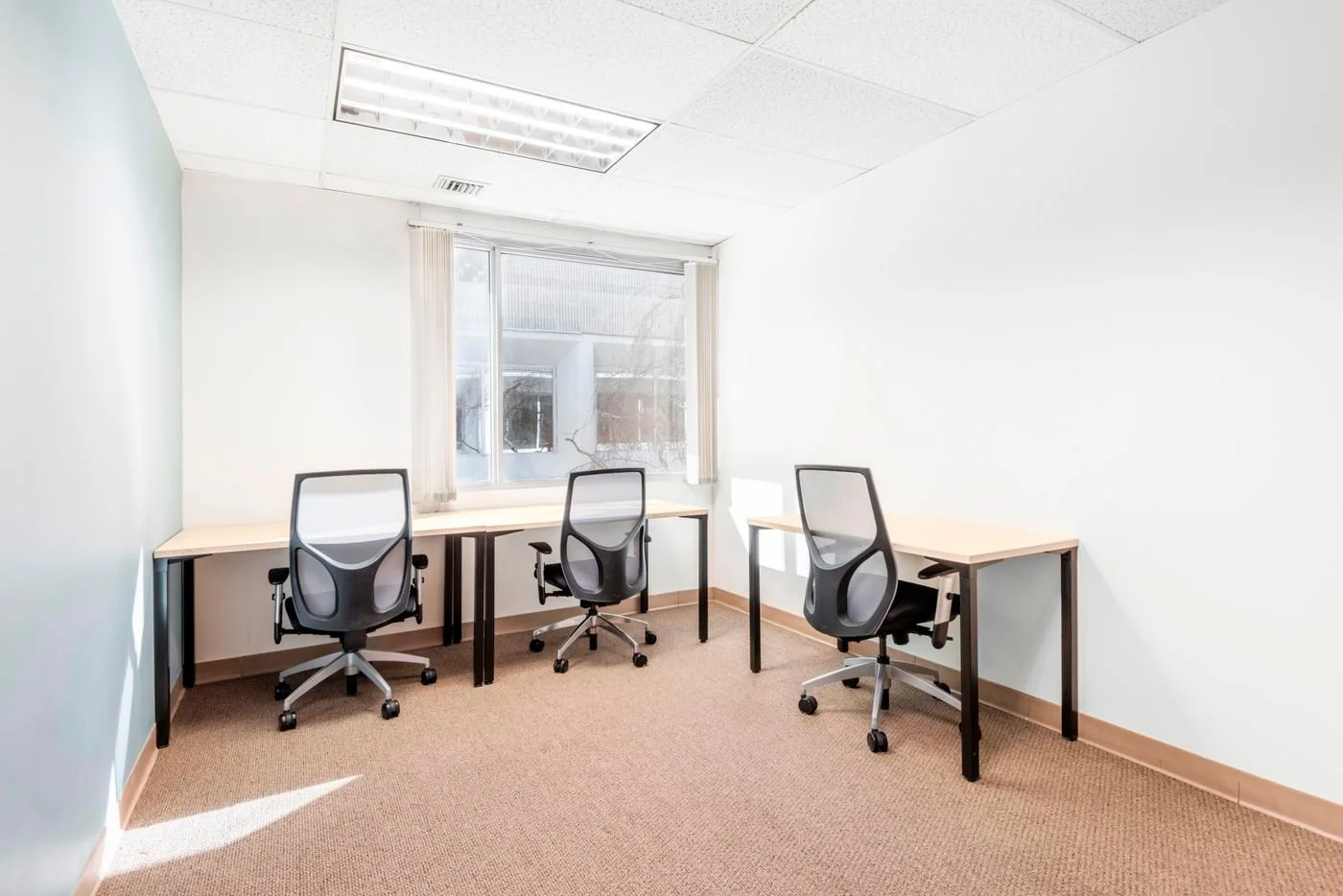 Photo-3 of 80 Orville Drive Suite 100, Bohemia, NY 11716