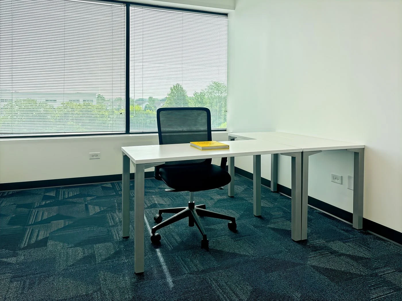 Photo 3 of 1560 Wall St, Naperville, IL 60563