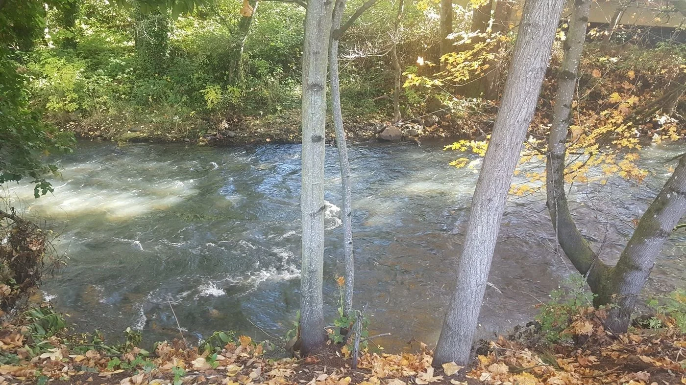 Photo 3 of 698 12th Street SE, Salem, OR 97301