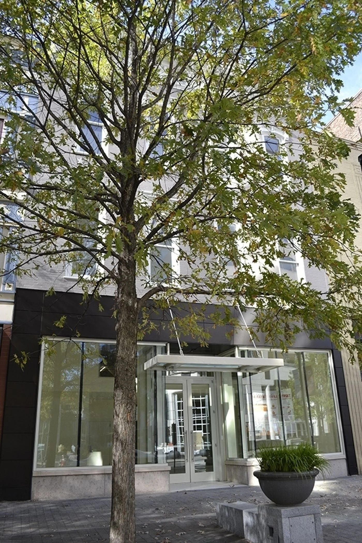 Photo 1 of 224 Fayetteville St, Raleigh, NC 27601