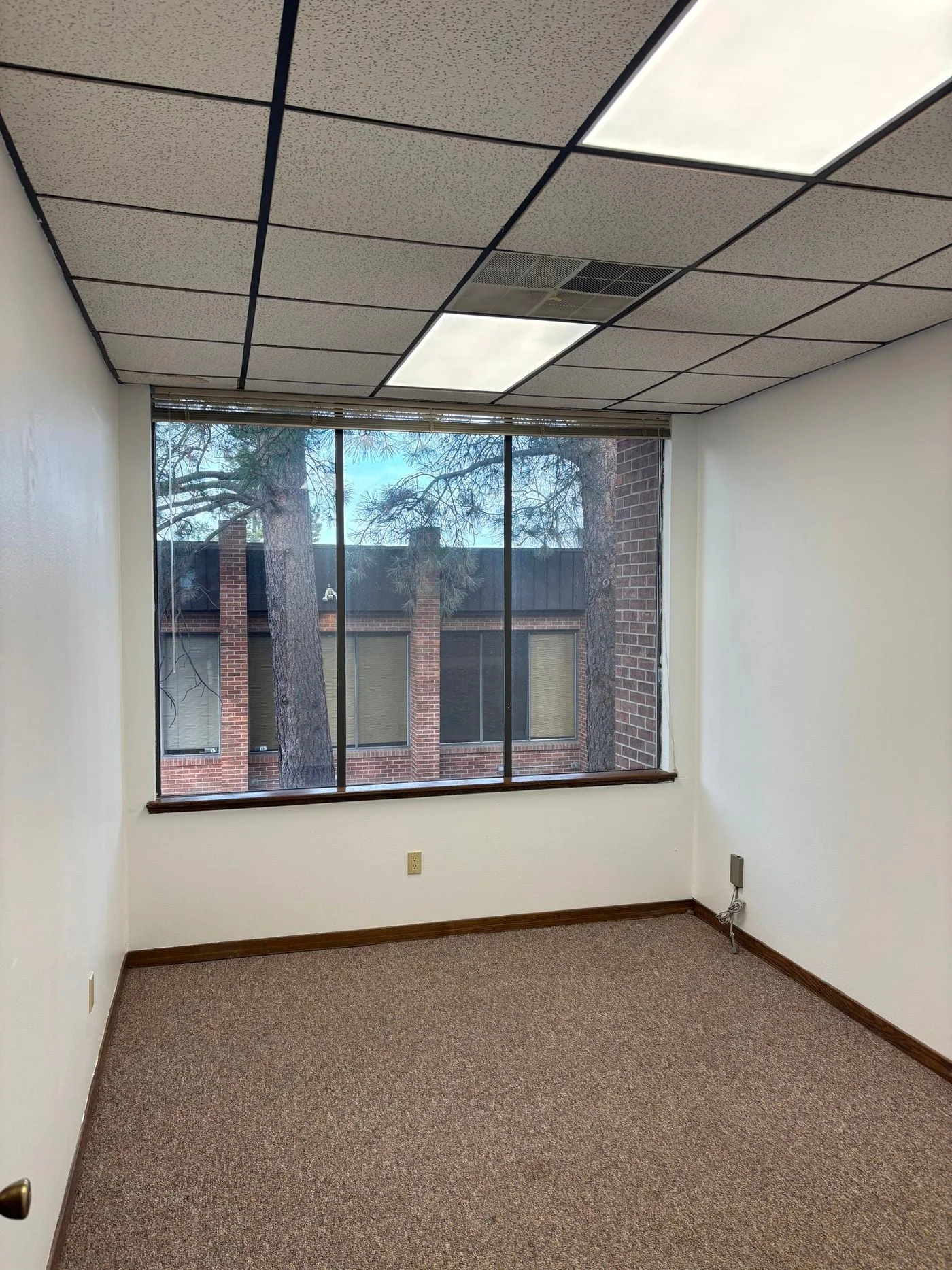 Photo 3 of 1229 Lake Plaza Dr, Colorado Springs, CO 80906