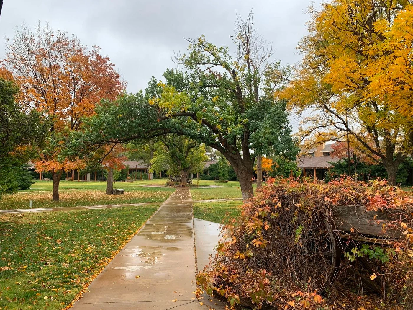 Photo 1 of 6666 Amarillo Blvd W, Amarillo, TX 79106