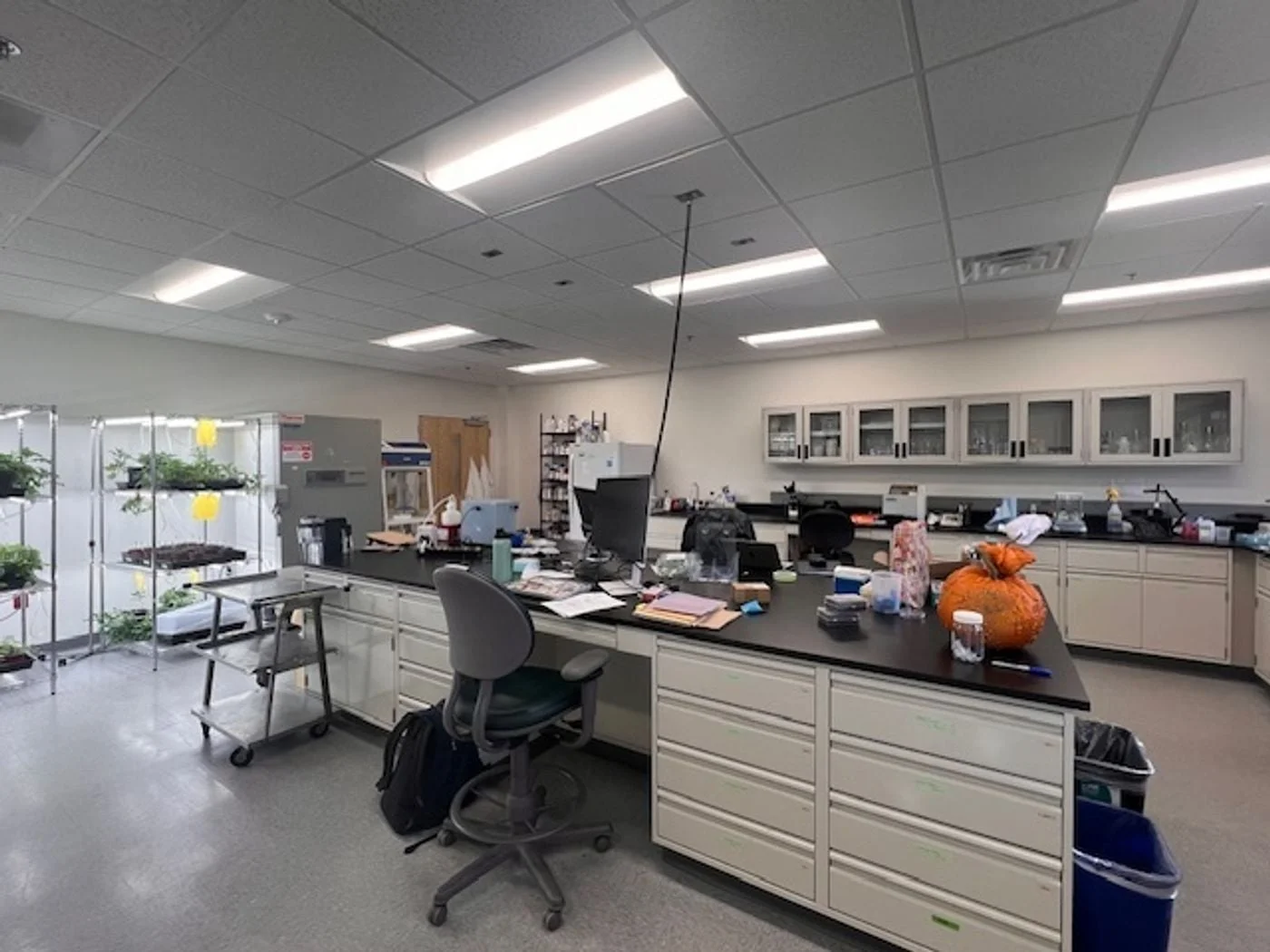 Photo 3 of 400 Park Offices Drive, Durham, NC 27709